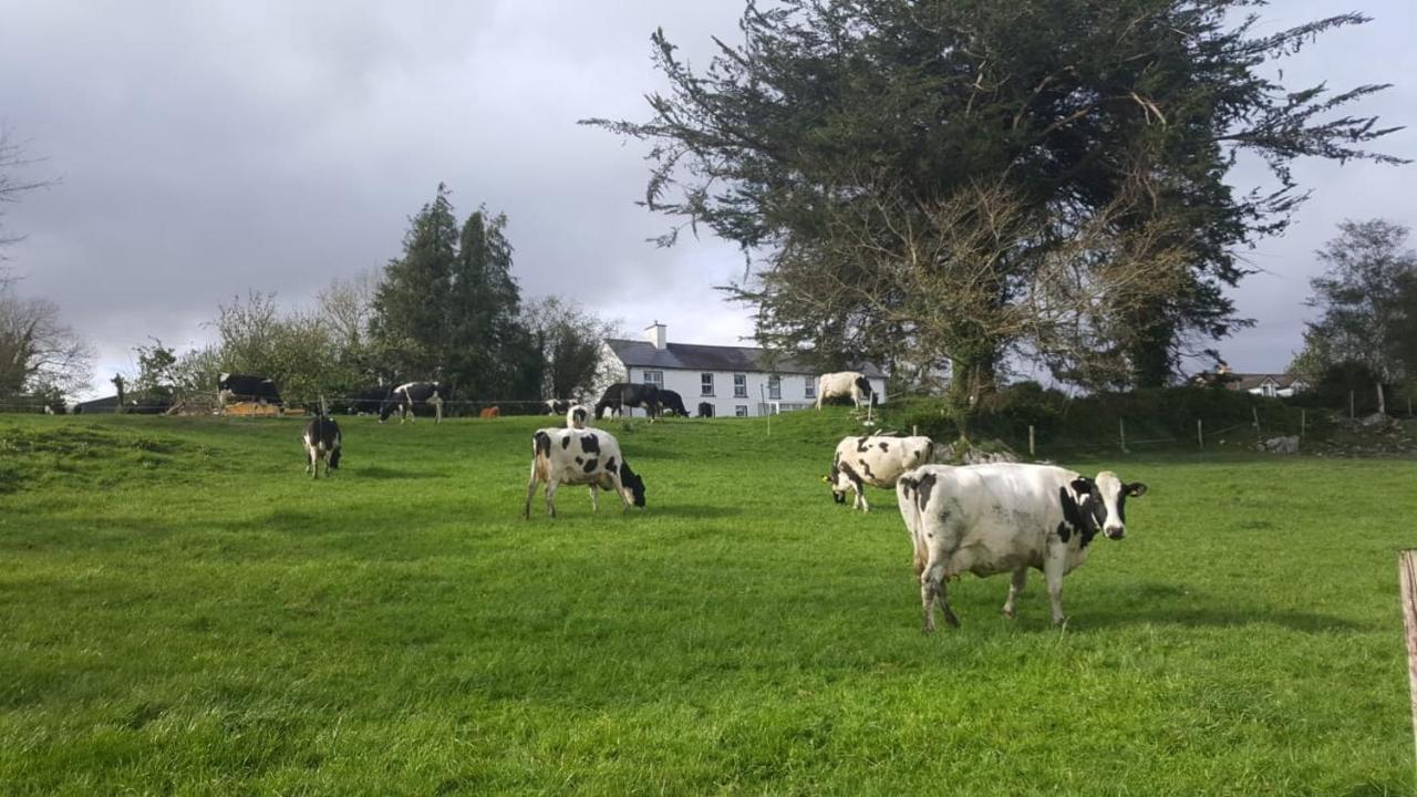 Gortamullen House, Kenmare Bed & Breakfast エクステリア 写真