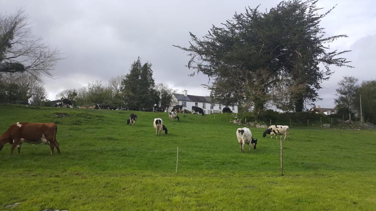 Gortamullen House, Kenmare Bed & Breakfast エクステリア 写真
